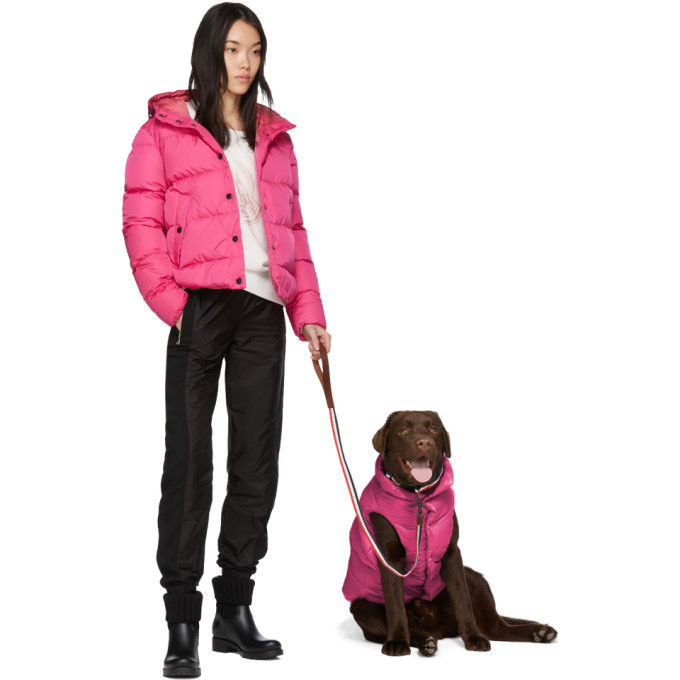 ２セット以上購入で、おまけ１本 Moncler Genius Poldo Dog Couture