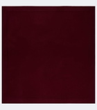 Lisa Yang Frieda cashmere scarf