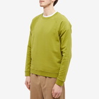 Folk Men's Rivet Sweat in Moss