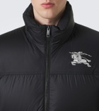 Burberry EKD down jacket
