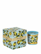 DOLCE & GABBANA - Lemon Scented Candle