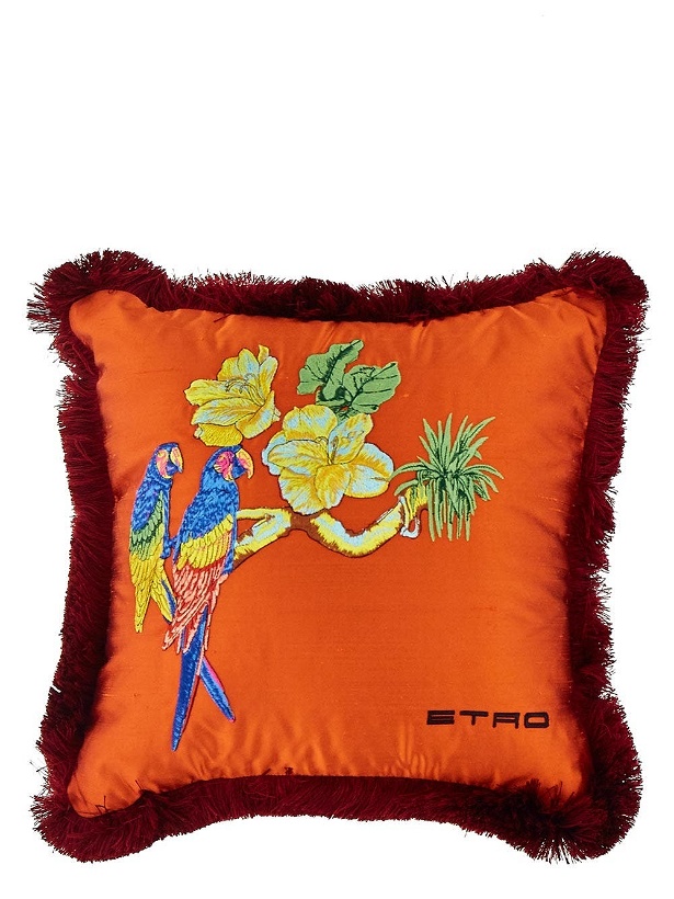 Photo: Etro Embroidered Cushion