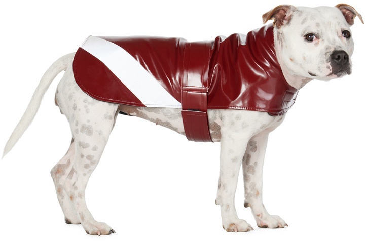 Photo: Stutterheim SSENSE Exclusive Red Dog Raincoat
