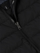 Herno - Quilted Padded Shell Hooded Down Jacket - Black
