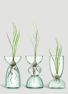 LSA International Set of Three Canopy Trio Vase