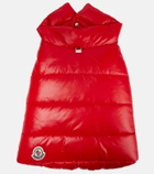 Moncler Genius - x Poldo Dog Couture dog coat