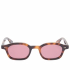 AKILA Ceres Sunglasses in Havana/Pomegranate 