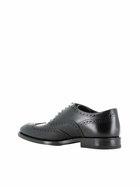 Henderson Baracco Brogues 59302.1