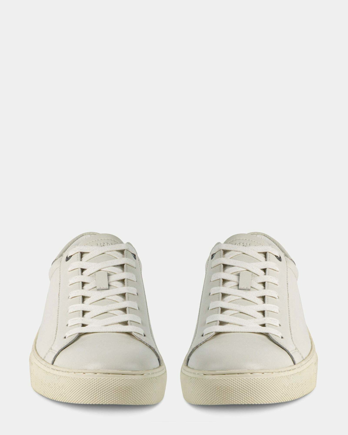Steve Madden Fogarty Sneakers in White