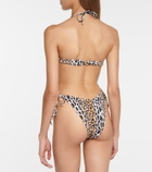 Reina Olga Penny leopard-print bikini bottoms