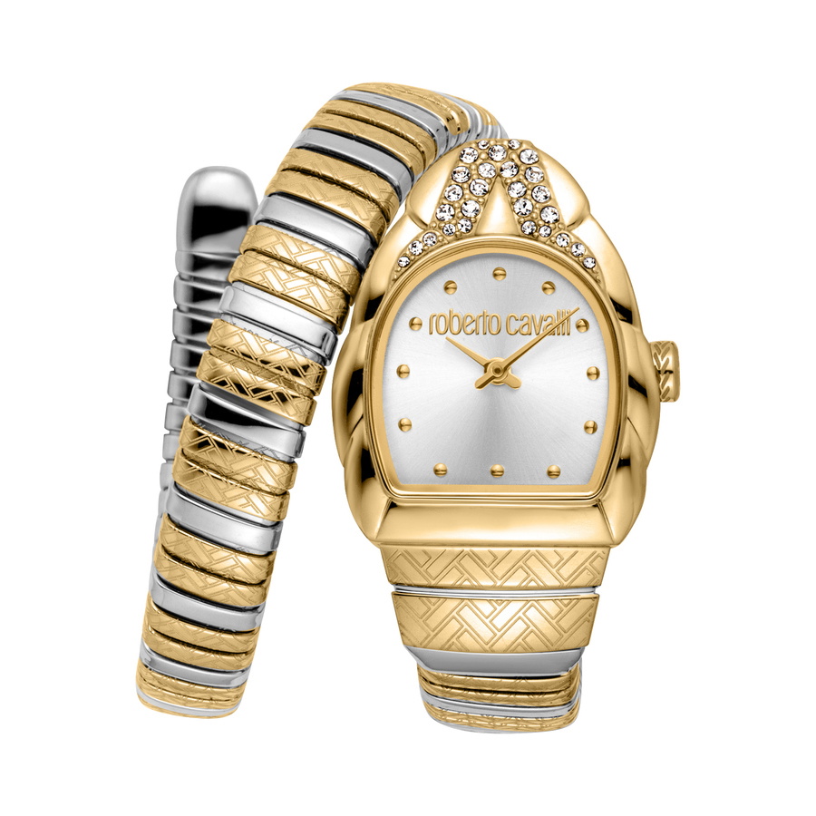 Roberto Cavalli Aurora Silver-tone Dial Ladies Watch RC5L133M0065