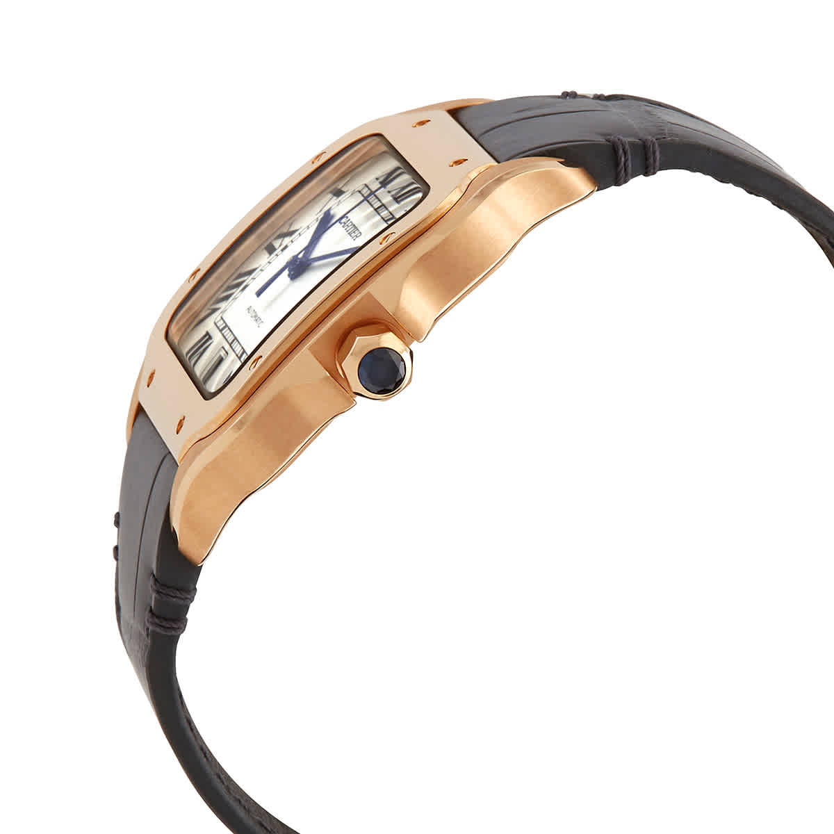 Cartier Santos Automatic Silver Dial Mens Watch WGSA0019