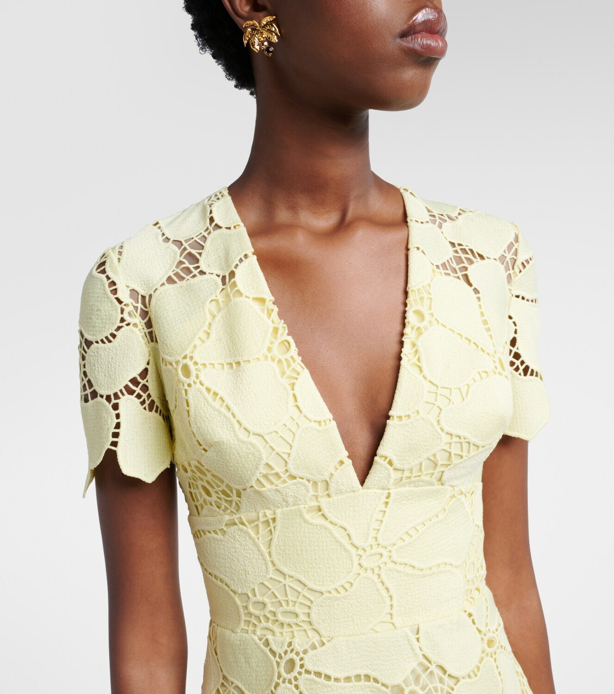 Elie Saab Floral silk-blend guipure midi dress