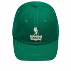 Levi's END. x Levis Trucker Hat 'Mount Rambler' in Green 