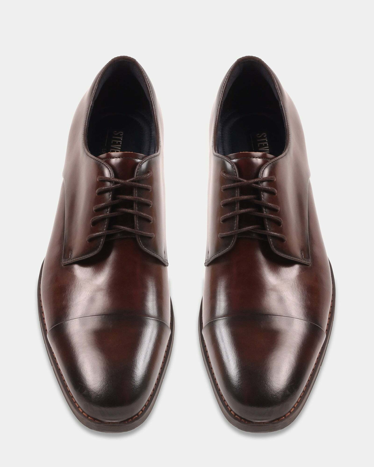 Steve Madden Kerian Dress Shoes in Brown