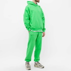 Pangaia 365 Hoody in Jade Green