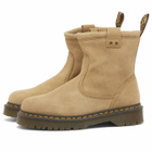 Dr. Martens Women's Anistone Lo Chelsea Boot in Savannah Tan
