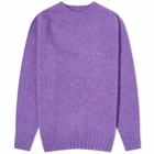 Howlin by Morrison Men's Howlin' Birth of the Cool Crew Knit in Purple Lover