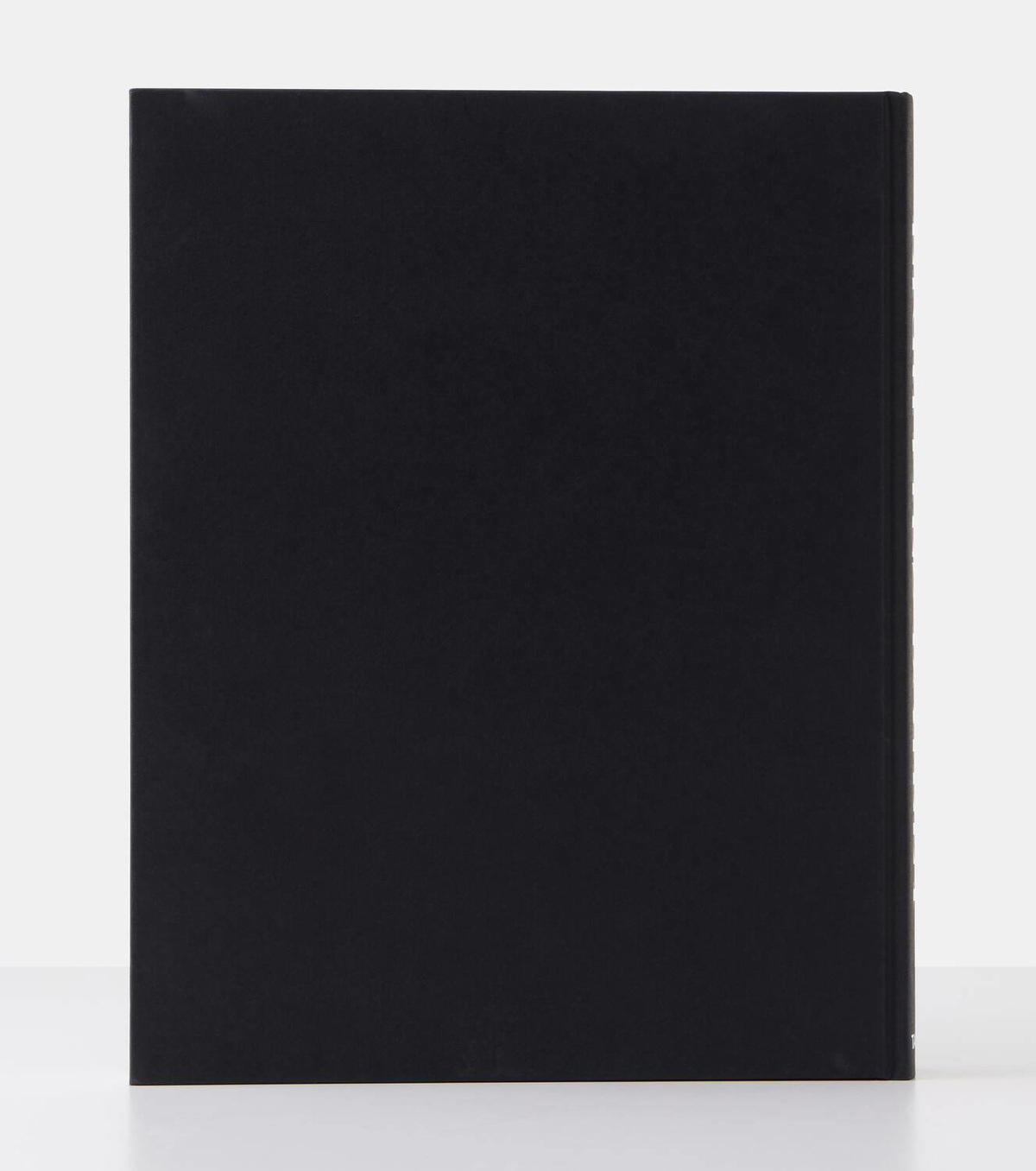 Taschen David Bailey Eighties book