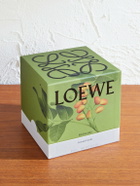 LOEWE Perfumes - Pistachio Medium Scented Candle - Green