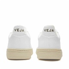 Veja Men's V-10 Leather Basketball Sneakers in Full White
