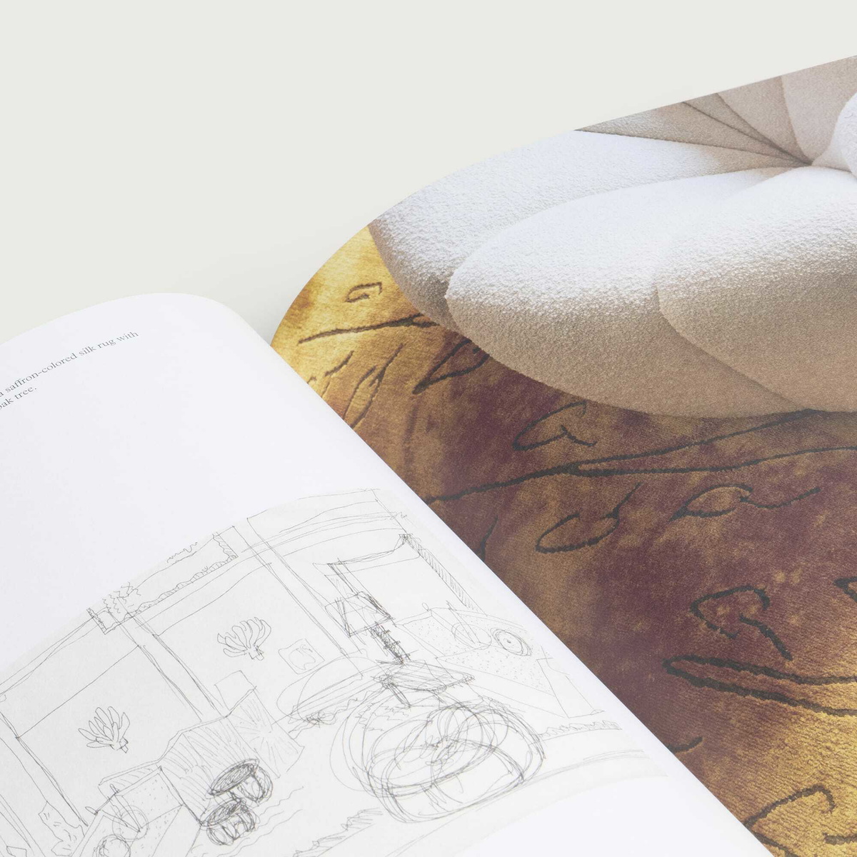 Rizzoli Studio Valle de Valle: Interiors in Giancarlo Valle