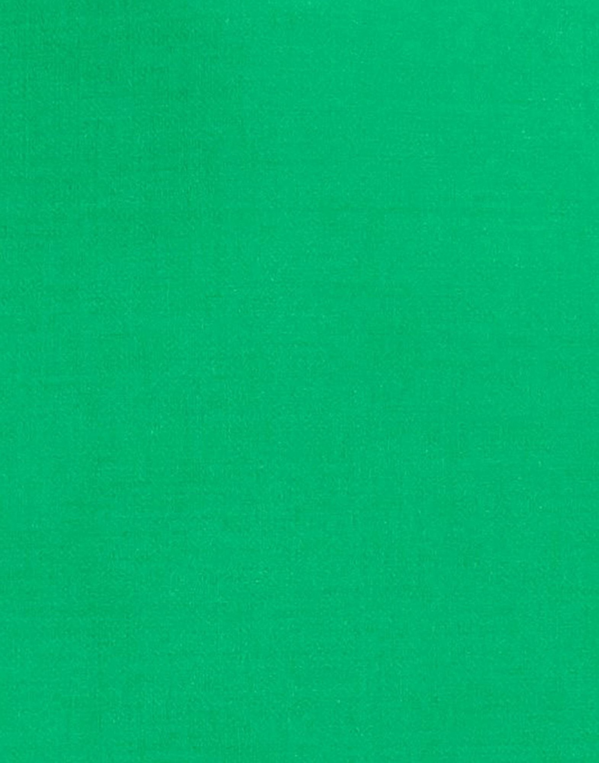 Jucca Womens Mini skirt in Green
