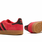 Adidas Gazelle Indoor in Lucid Red/Black/Gold Metallic