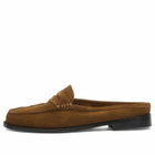 Bass Weejuns Women's Weejun Penny Slide in Mid Brown Suede