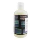 R+Co Unisex Television Perfect Hair Shampoo 8.5 oz Hair Care 810374022917