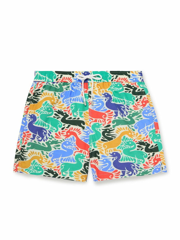 Photo: Drake's - Ducks Straight-Leg Mid-Length Printed Shell Swim Shorts - Multi