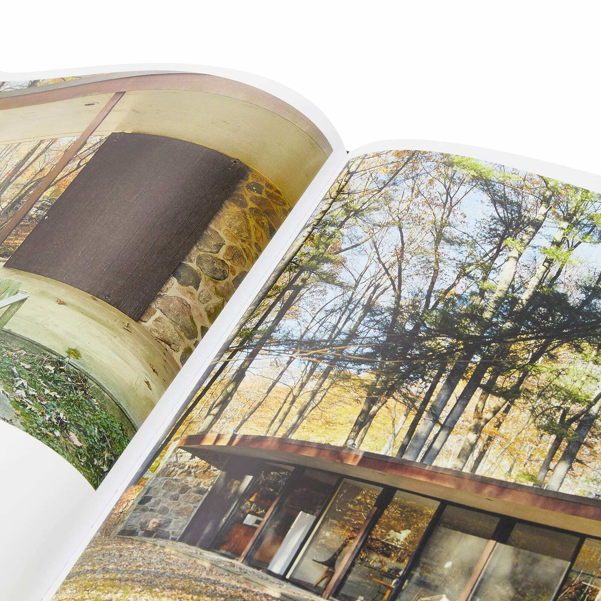 Phaidon Midcentury Houses Today in Cristina A. Ross 