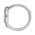 Roberto Cavalli Aurora Silver-tone Dial Ladies Watch RC5L133M0015