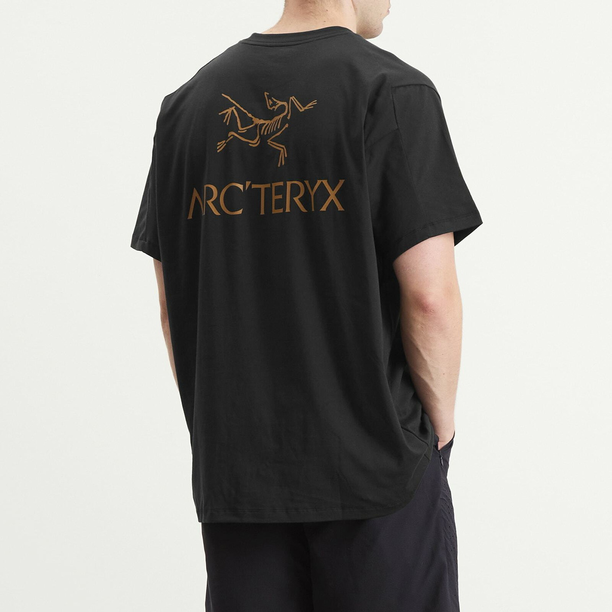 Arc'teryx Men's Kragg SL Cotton Bird Word T-Shirt in 24K Black