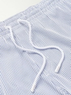 Loro Piana - Daneu Straight-Leg Mid-Length Striped Swim Shorts - Blue