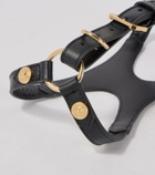 Versace Home Leather dog harness