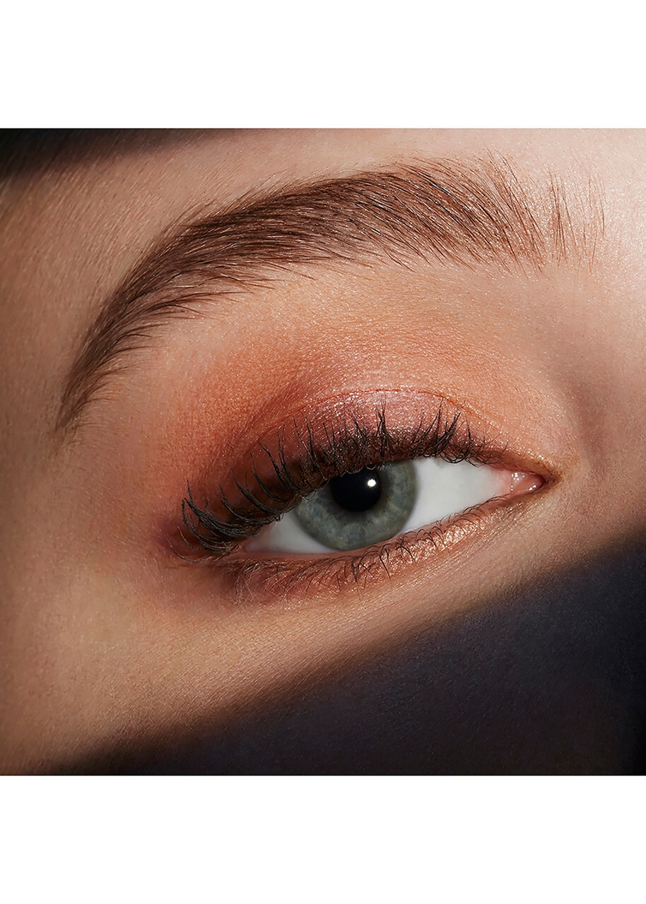 Estee Lauder Pure Color Envy Luxe EyeShadow, Eyeshadow, Rebel Petals, Eyeshadow Palette, Satin