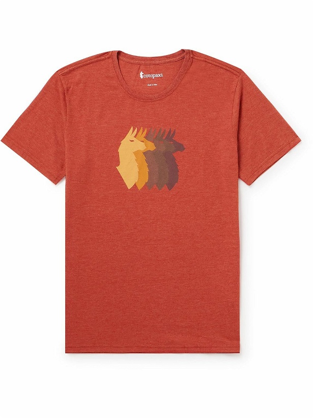 Photo: Cotopaxi - Llama Sequence Printed Organic Cotton-Blend Jersey T-Shirt - Red