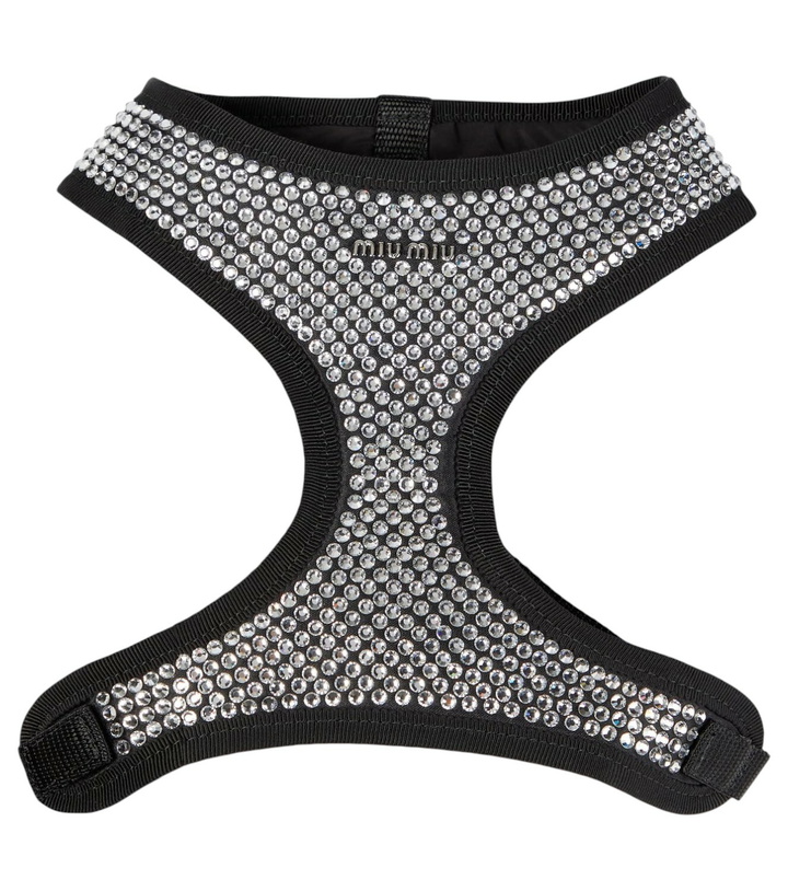 Photo: Miu Miu Embellished dog harness