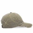 ROA Men's Ryli Embroidered 6 Panel Cap in Sage Green 
