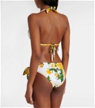 Dolce&Gabbana Floral bikini