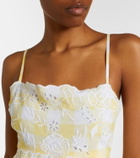 Juliet Dunn Embroidered checked cotton midi dress