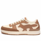 Maison Kitsuné Men's Chiru Sneaker in Latte/Sepia