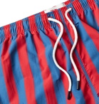 Solid & Striped - The Classic Mid-Length Striped Swim Shorts - Multi