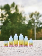 24BOTTLES 330 Aurora Clima Bottle