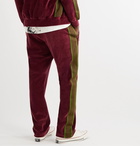 Needles - Logo-Embroidered Webbing-Trimmed Cotton-Blend Velour Track Pants - Burgundy