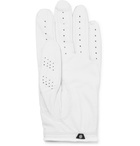 Under Armour - Spieth Tour Perforated Leather Golf Glove - White