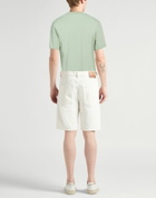 Peuterey Mens T-shirt in Sage green
