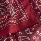 Drake's Men's Classic Paisley Bandana in Red 