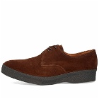 Sanders Men's Low Top Gibson in Polo Snuff Suede